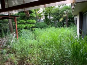 碧南市 空き家 庭 草刈り